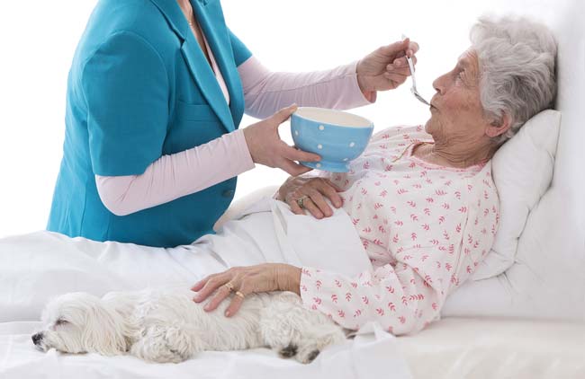 SRI ASHWINI HOME NURSING SERVICE OLD AGE HOME - Latest update - Senior Medication Management in Bangalore